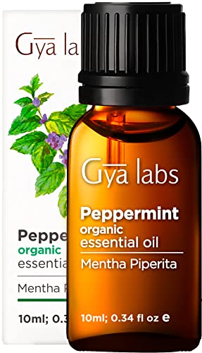 Aceite esencial de menta orgánico de Gya Labs para el crecimiento del cabello, alivio del dolor y dolores de cabeza, sinusitis clara y congestión, grado terapéutico 100% puro para aromaterapia, 10 ml