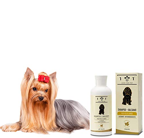 Champú + Acondicionador Natural, 250ml - Delicado y Perfumado - para Perros de Pelo Largo, Linea 101