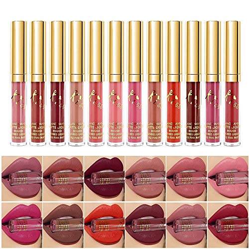 Conjunto de brillo de labios sexy de 12 colores Lápiz labial líquido aterciopelado Lápices labiales hidratantes impermeables de larga duración Lápiz labial líquido desnudo mate profesional