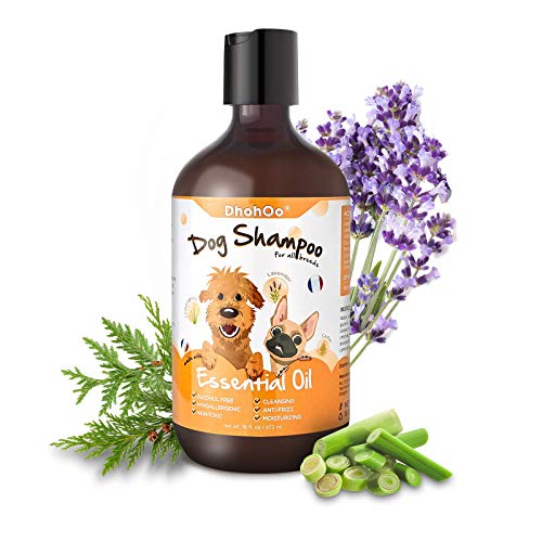 Dhohoo Champú para Perros para Alergias y Picazón con Aceite Esencial, Ingredientes Naturales Champú para Perros con Olor, Alivio de la Piel Seca con Picazón, Crecimiento del Pelo Sano(473ml)