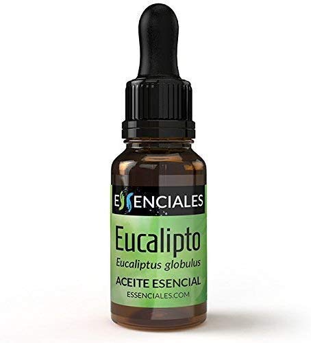 Essenciales - Aceite Esencial Eucalipto, 100% Puro, 10 ml | Aceite Esencial Eucaliptus Globulus