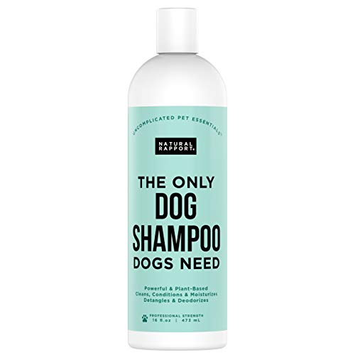 Natural Rapport Champú Natural para Perros y Mascotas  El Único Champú de Perros que tu Perro Necesita - Cham-pú para Perros y Mascotas de Todas las Razas para un Lavado Completo (473 ml)