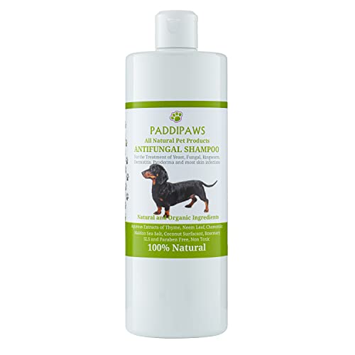 PADDIPAWS Champú antifúngico y antibacteriano para perros 100% natural, infecciones por levaduras, tiña, dermatitis, pioderma, ingredientes naturales seguros  Sin parabenos ni SLS  500 ml