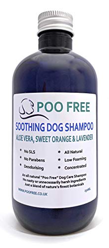 POO FREE 99% Natural CHAMPÚ CALMANTE para Perros - Aloe Vera, Naranja & Lavanda - 250ml pH Equilibrado. Sin Sulfatos, Sin Parabenos, Sin Silicona. Concentrado, Limpia, Calma, Hidrata, Alivia.