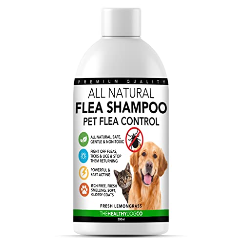 The Healthy Dog Co Champú antipulgas Completamente Natural | Limoncillo | 500ml | El Mejor Tratamiento para Perros y Gatos | Fórmula Potente y Segura | Mata y controla pulgas garrapatas y piojos