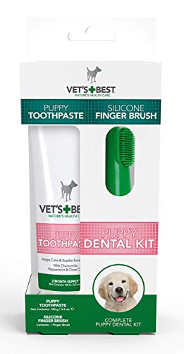 Vet's Best Pasta de dientes para perros, limpieza de dientes y gel para el cuidado dental de aliento fresco, 100g